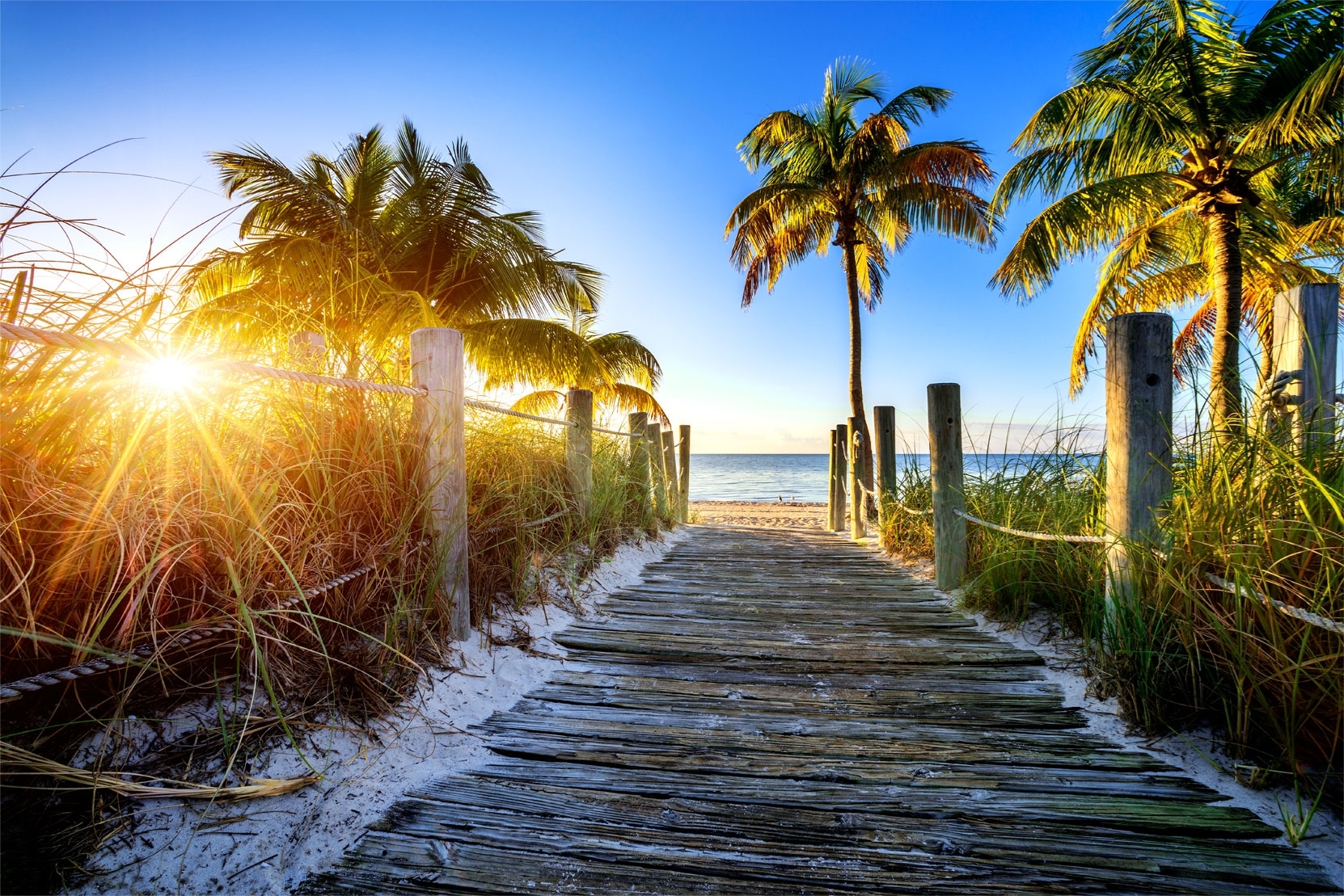 board walk leading to a beachfront